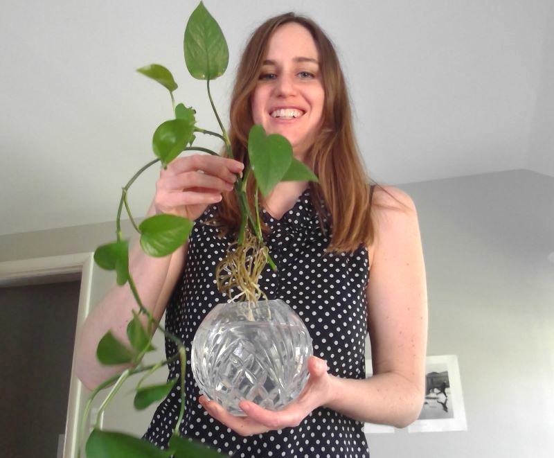 picture of me holding a philodendron, growing roots in a circular crystal vase